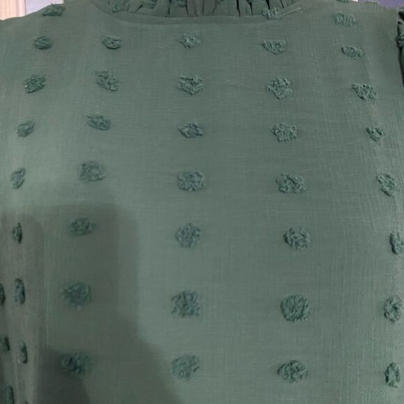 Adibosy new with tags chiffon green Swiss dot dress size small - Picture 5 of 7